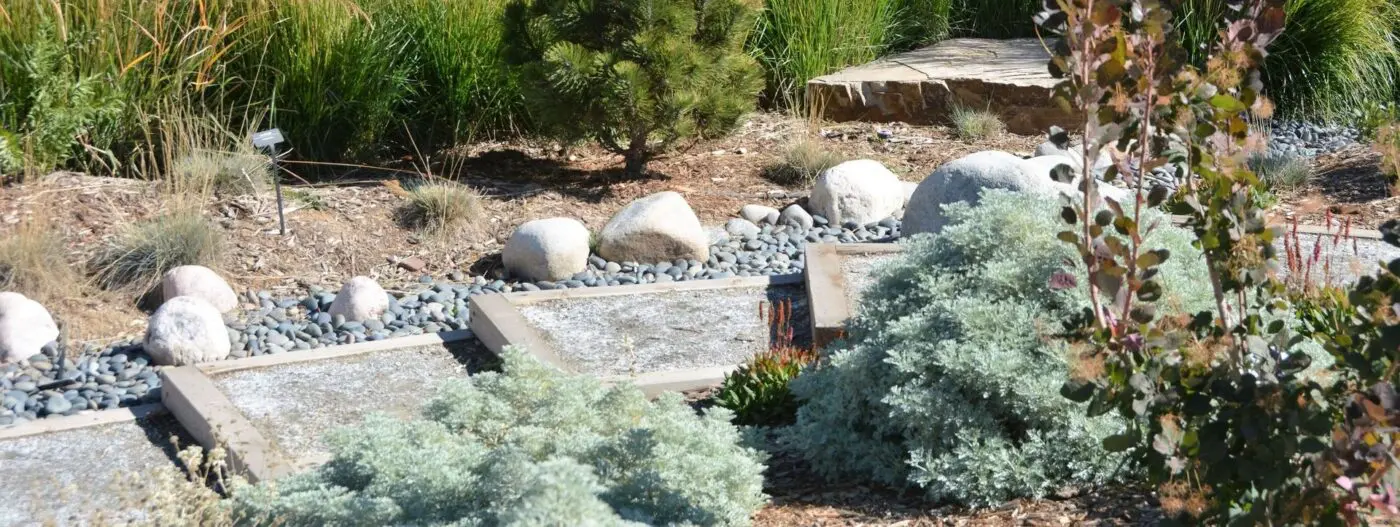 A landscaped garden with stone steps meanders through various greenery, including shrubs and small trees. White stones line the path, complemented by patches of high-quality turf from San Tan Turf and Paver, alongside plants with green and silver foliage, creating a serene outdoor setting.